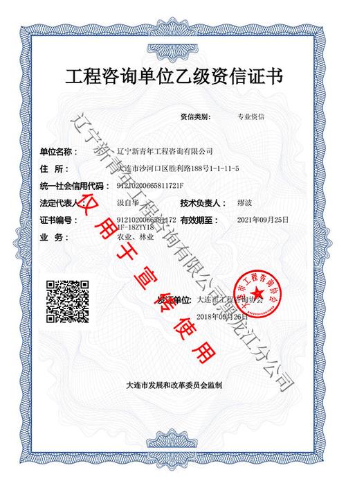 辽宁新青年工程咨询黑龙江分公司 经济信息咨询的专业力量与区域实践